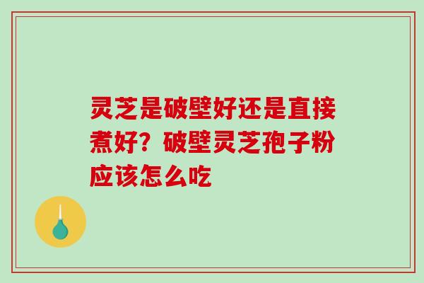 灵芝是破壁好还是直接煮好？破壁灵芝孢子粉应该怎么吃