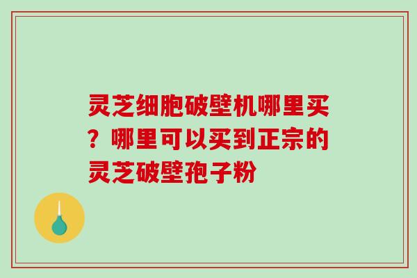 灵芝细胞破壁机哪里买？哪里可以买到正宗的灵芝破壁孢子粉