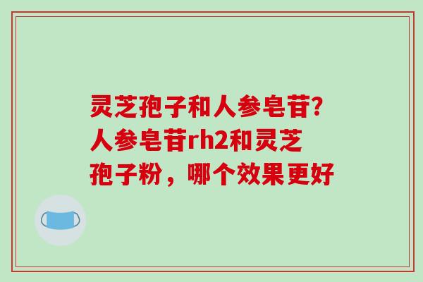 灵芝孢子和人参皂苷？人参皂苷rh2和灵芝孢子粉，哪个效果更好