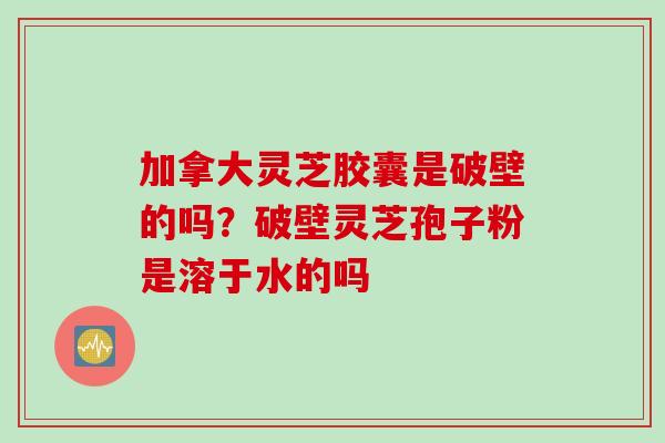 加拿大灵芝胶囊是破壁的吗？破壁灵芝孢子粉是溶于水的吗