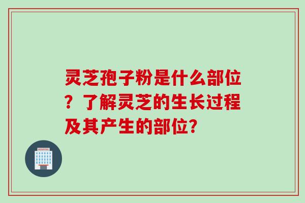 灵芝孢子粉是什么部位？了解灵芝的生长过程及其产生的部位？