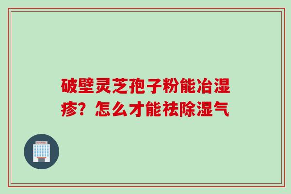 破壁灵芝孢子粉能冶湿疹？怎么才能祛除湿气