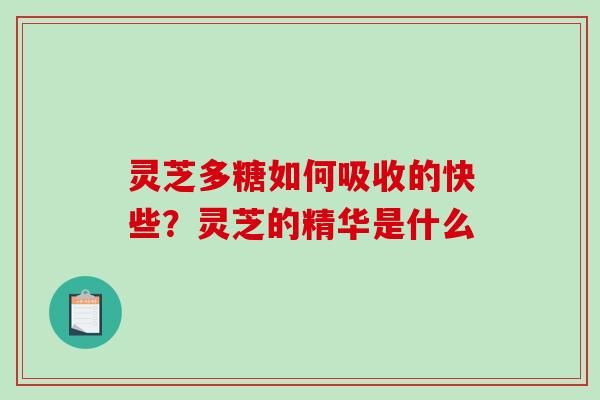 灵芝多糖如何吸收的快些？灵芝的精华是什么