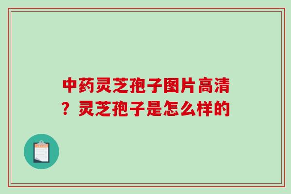 中药灵芝孢子图片高清？灵芝孢子是怎么样的