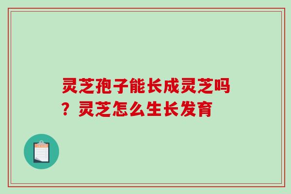 灵芝孢子能长成灵芝吗？灵芝怎么生长发育