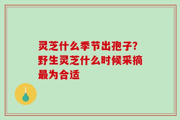 灵芝什么季节出孢子？野生灵芝什么时候采摘最为合适
