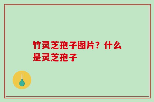 竹灵芝孢子图片？什么是灵芝孢子