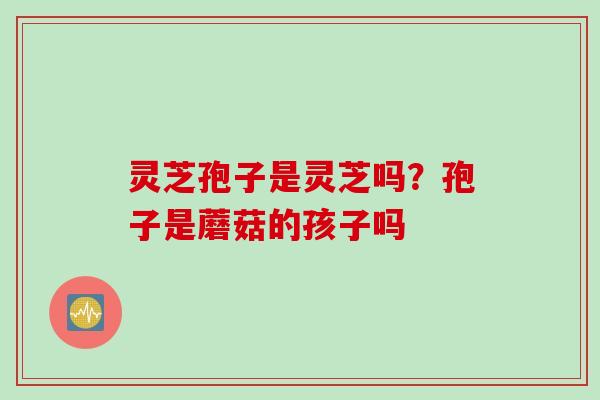 灵芝孢子是灵芝吗？孢子是蘑菇的孩子吗