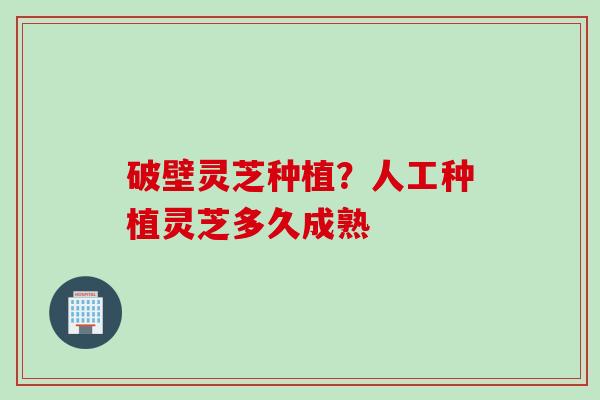 破壁灵芝种植？人工种植灵芝多久成熟