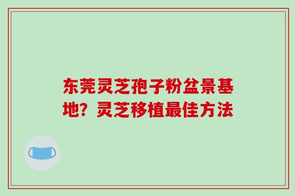 东莞灵芝孢子粉盆景基地？灵芝移植最佳方法