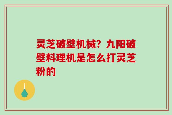 灵芝破壁机械？九阳破壁料理机是怎么打灵芝粉的