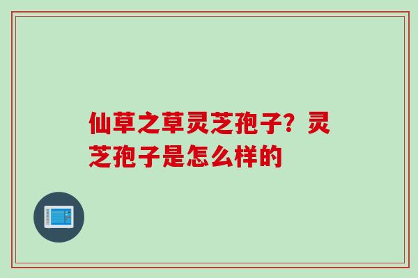 仙草之草灵芝孢子？灵芝孢子是怎么样的