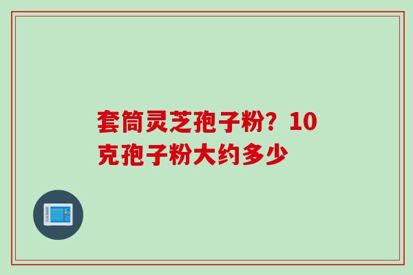 套筒灵芝孢子粉？10克孢子粉大约多少