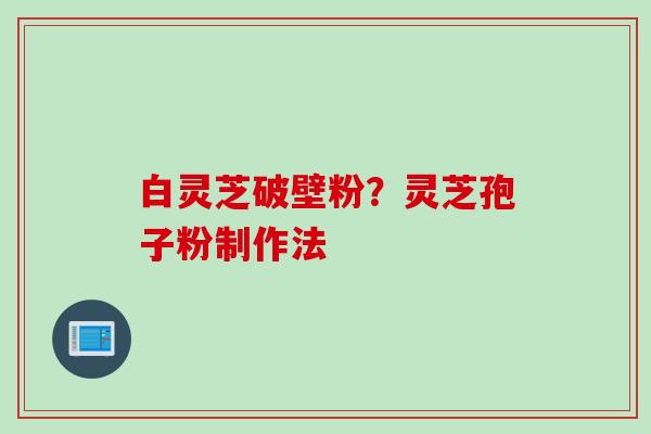 白灵芝破壁粉？灵芝孢子粉制作法