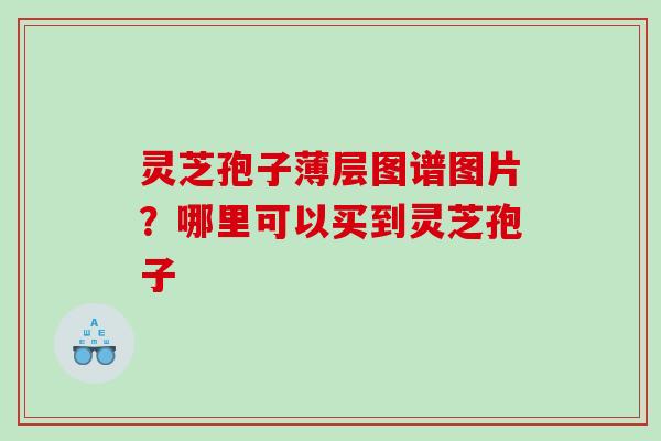 灵芝孢子薄层图谱图片？哪里可以买到灵芝孢子