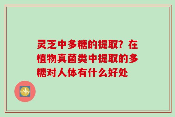 灵芝中多糖的提取？在植物真菌类中提取的多糖对人体有什么好处