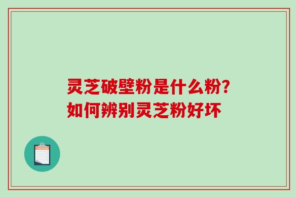 灵芝破壁粉是什么粉？如何辨别灵芝粉好坏