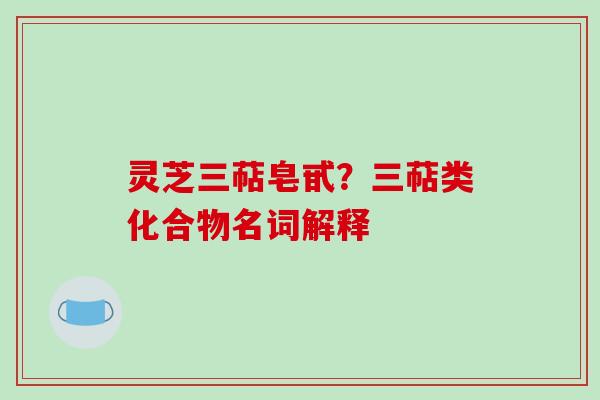 灵芝三萜皂甙？三萜类化合物名词解释