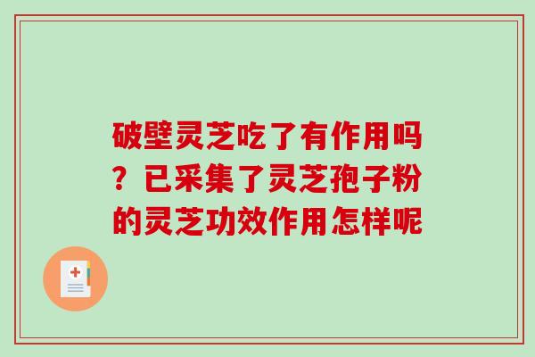 破壁灵芝吃了有作用吗？已采集了灵芝孢子粉的灵芝功效作用怎样呢