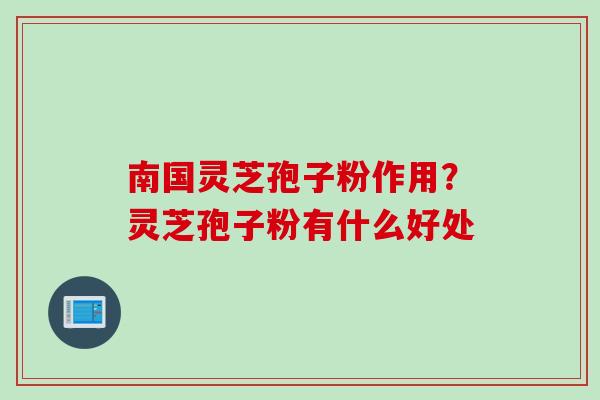 南国灵芝孢子粉作用？灵芝孢子粉有什么好处