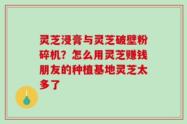 灵芝浸膏与灵芝破壁粉碎机？怎么用灵芝赚钱朋友的种植基地灵芝太多了