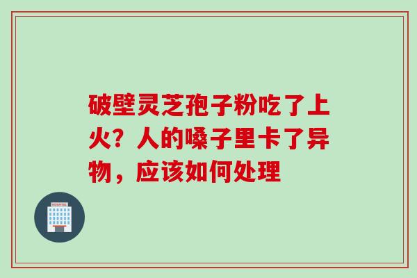 破壁灵芝孢子粉吃了上火？人的嗓子里卡了异物，应该如何处理