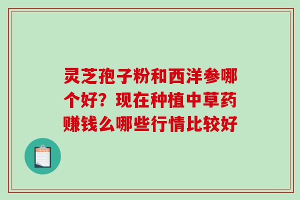 灵芝孢子粉和西洋参哪个好？现在种植中草药赚钱么哪些行情比较好