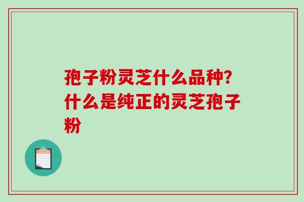 孢子粉灵芝什么品种？什么是纯正的灵芝孢子粉