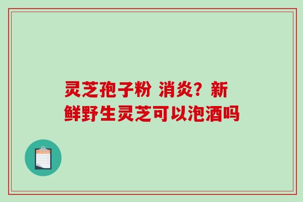 灵芝孢子粉 消炎？新鲜野生灵芝可以泡酒吗