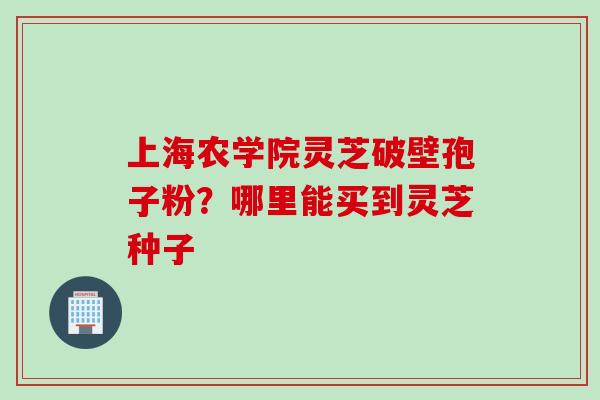 上海农学院灵芝破壁孢子粉？哪里能买到灵芝种子