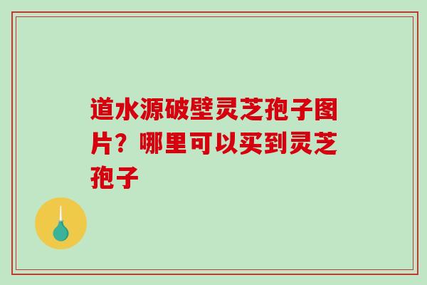 道水源破壁灵芝孢子图片？哪里可以买到灵芝孢子