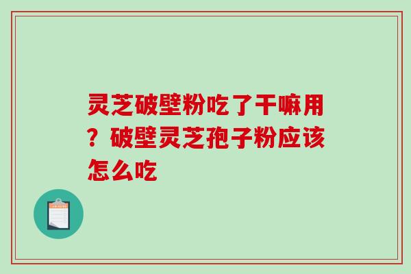灵芝破壁粉吃了干嘛用？破壁灵芝孢子粉应该怎么吃