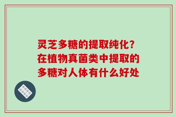 灵芝多糖的提取纯化？在植物真菌类中提取的多糖对人体有什么好处