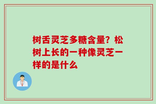 树舌灵芝多糖含量？松树上长的一种像灵芝一样的是什么