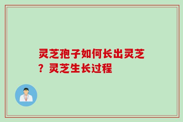 灵芝孢子如何长出灵芝？灵芝生长过程