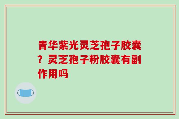 青华紫光灵芝孢子胶囊？灵芝孢子粉胶囊有副作用吗