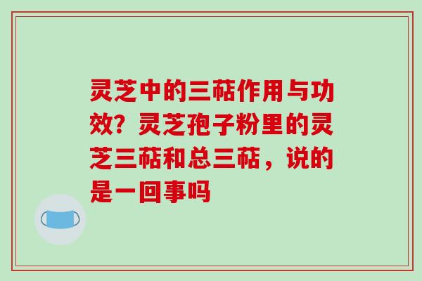 灵芝中的三萜作用与功效？灵芝孢子粉里的灵芝三萜和总三萜，说的是一回事吗