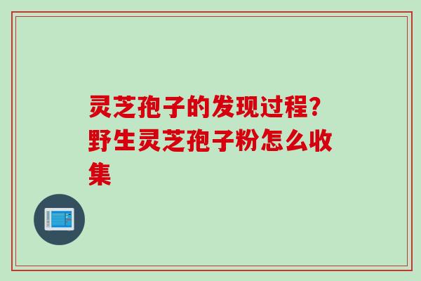 灵芝孢子的发现过程？野生灵芝孢子粉怎么收集