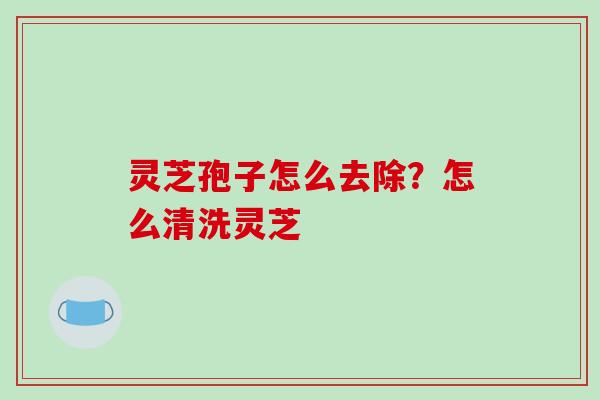 灵芝孢子怎么去除？怎么清洗灵芝