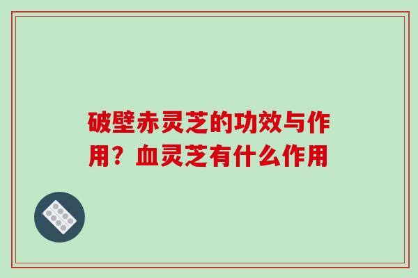破壁赤灵芝的功效与作用？血灵芝有什么作用