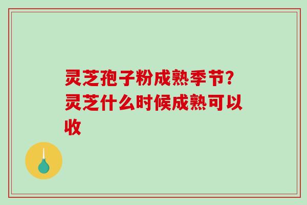 灵芝孢子粉成熟季节？灵芝什么时候成熟可以收
