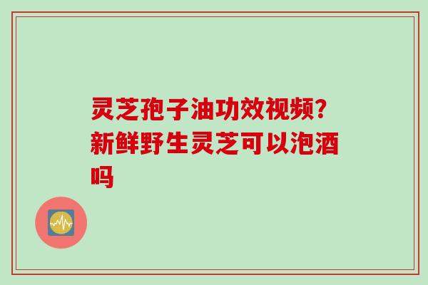 灵芝孢子油功效视频？新鲜野生灵芝可以泡酒吗