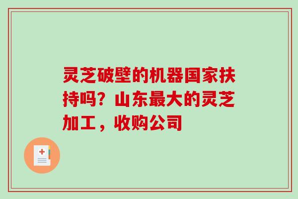 灵芝破壁的机器国家扶持吗？山东最大的灵芝加工，收购公司