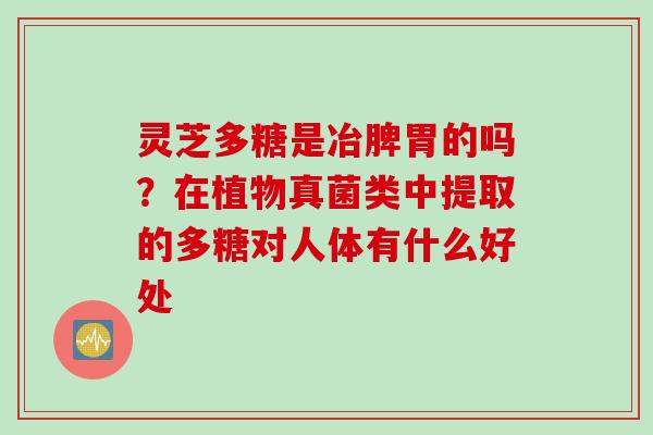 灵芝多糖是冶脾胃的吗？在植物真菌类中提取的多糖对人体有什么好处