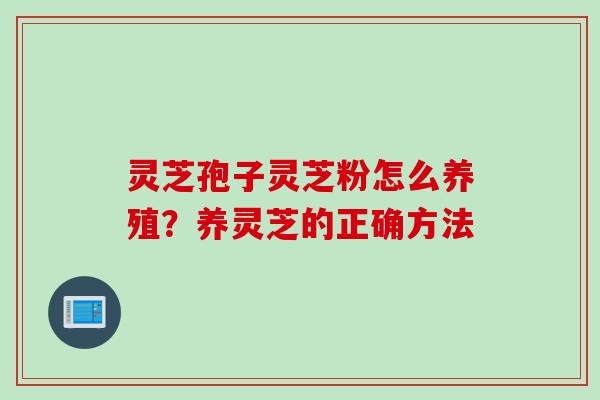 灵芝孢子灵芝粉怎么养殖？养灵芝的正确方法