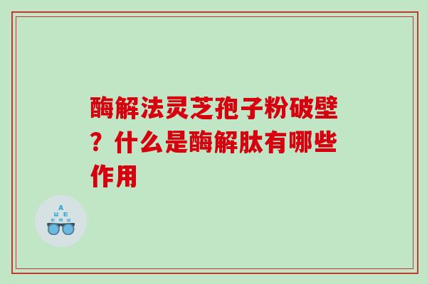 酶解法灵芝孢子粉破壁？什么是酶解肽有哪些作用