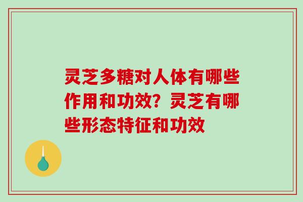 灵芝多糖对人体有哪些作用和功效？灵芝有哪些形态特征和功效