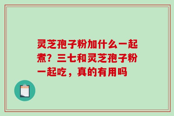 灵芝孢子粉加什么一起煮？三七和灵芝孢子粉一起吃，真的有用吗