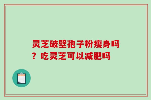 灵芝破壁孢子粉瘦身吗？吃灵芝可以减肥吗
