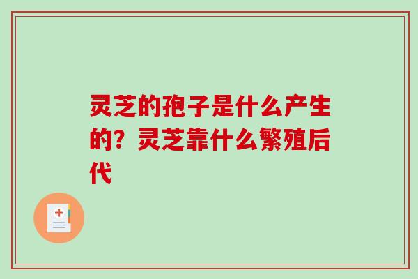 灵芝的孢子是什么产生的？灵芝靠什么繁殖后代
